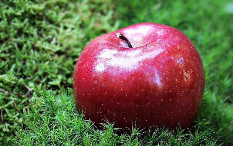 The Rise of Food Allergies: Understanding Causes and Solutions