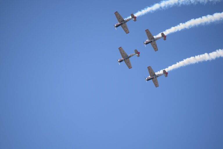 The Role of Political Protests During Election Season