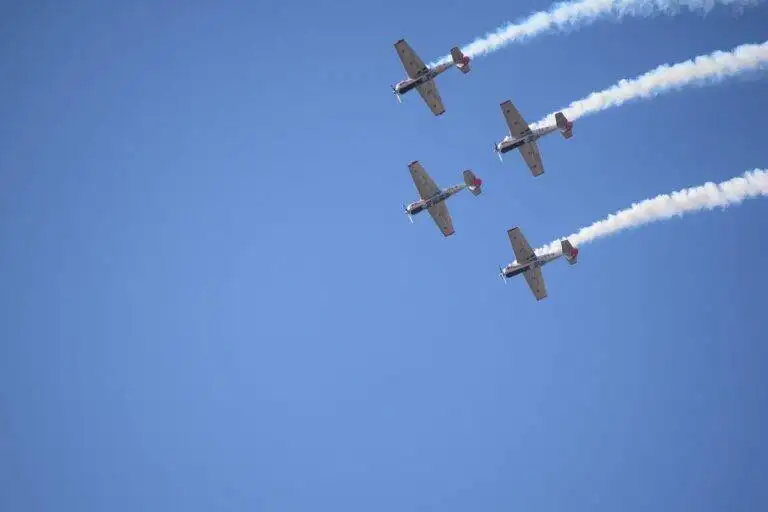 The Role of Political Protests During Election Season