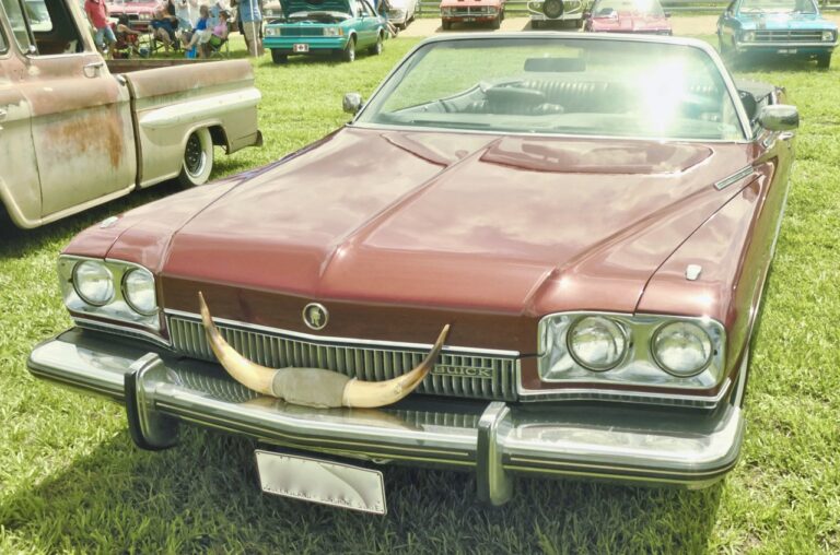 The Environmental Impact of Car Manufacturing Processes