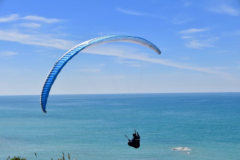 Exploring the Future of Women’s Cricket