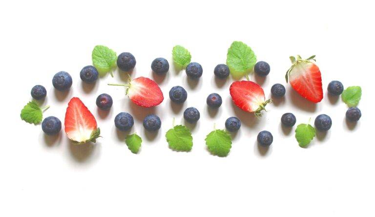 The Art of Food Presentation: Enhancing the Dining Experience