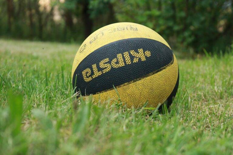 Cultural Significance of IPL: A Socio-cultural Analysis